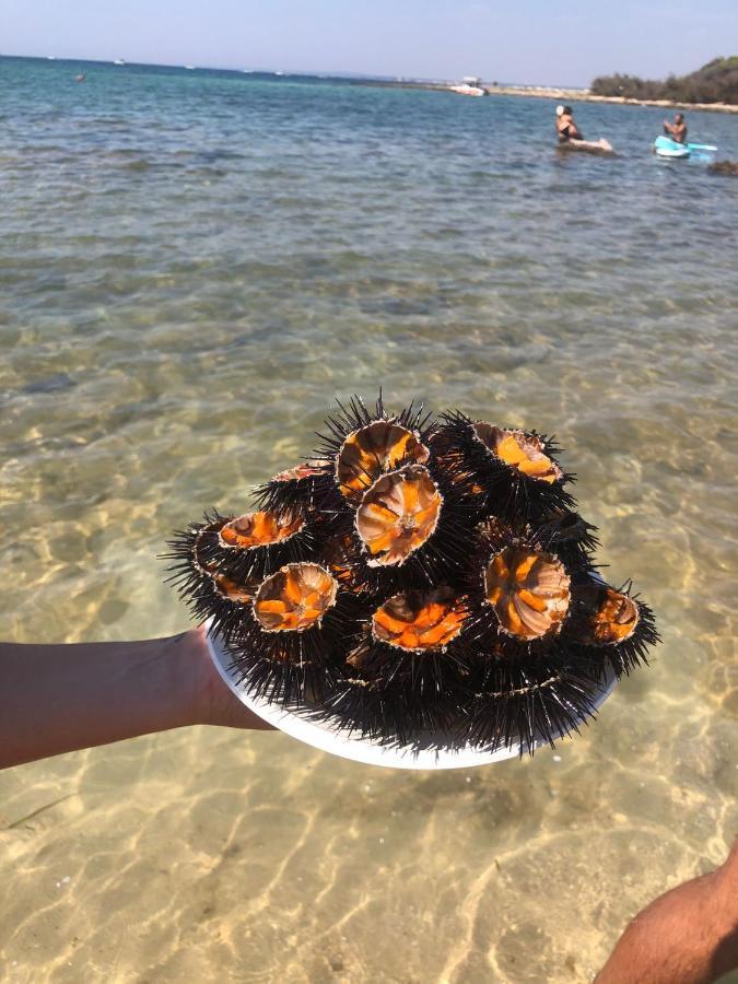 Salento Casa Vacanza Il Focolare Torchiarolo ภายนอก รูปภาพ